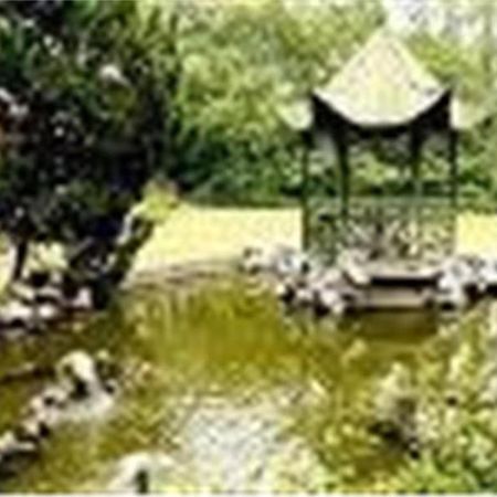 Cypress Hotel Jin Jiang Shanghai Esterno foto